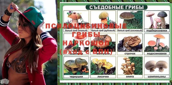 шишки Волоколамск