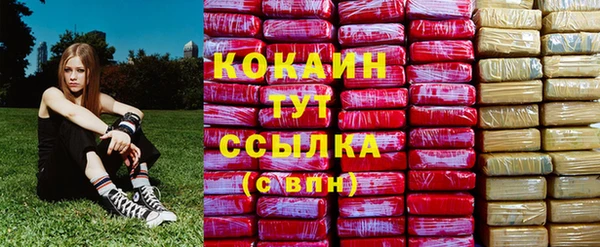 шишки Волоколамск