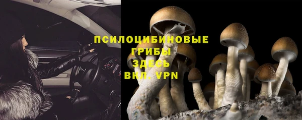 шишки Волоколамск