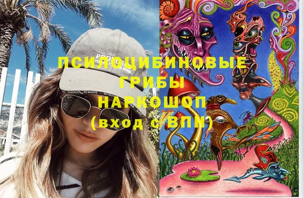 шишки Волоколамск