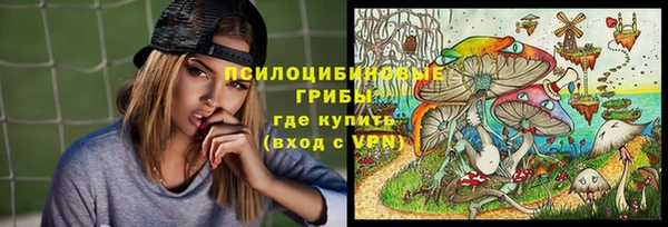шишки Волоколамск