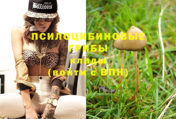 a pvp Володарск