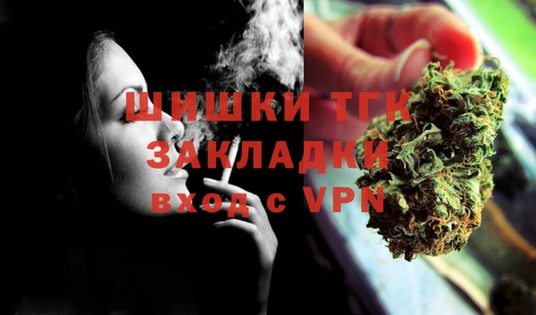 шишки Волоколамск